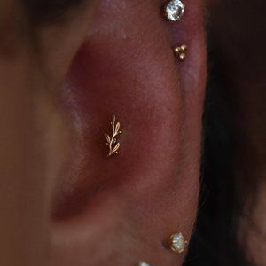 BVLA Tiny Amity #1753 Branch Body Jewelry, 14k Rose Gold, 16g Threaded End+Post